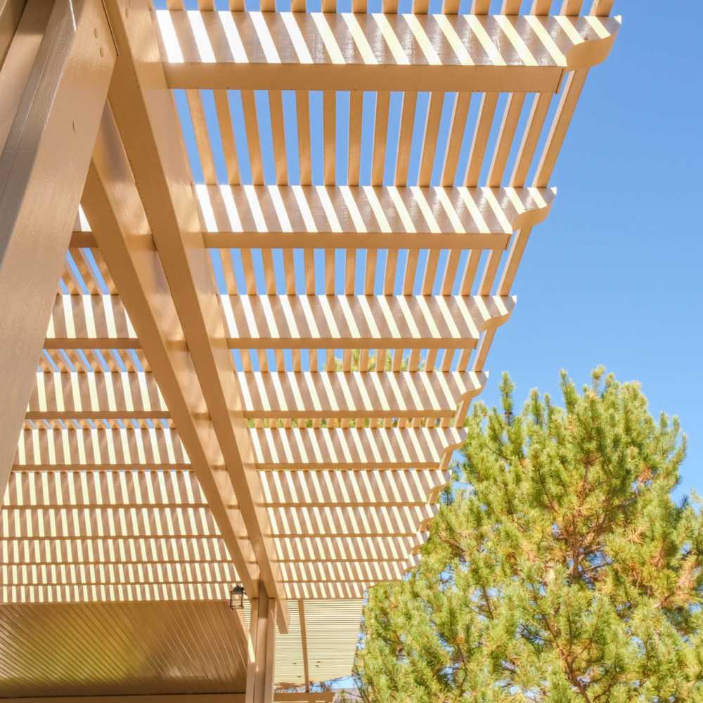 Lattice detail with pine tree, blue sky